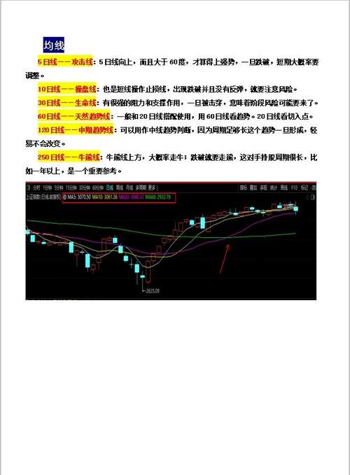 股票中有多少条主要生命线_股票生命线含义_股票生命线原理
