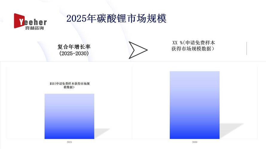锂盐行业现状分析_锂盐行业发展趋势预测_锂电池的生产工艺要求