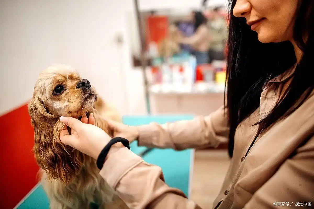 单人创业项目_一两个人投资办小厂项目_适合一个人做的小生意