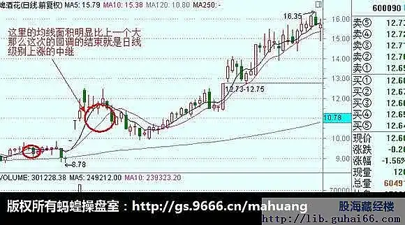 无敌均线操作法(2)：级别与周期[转]