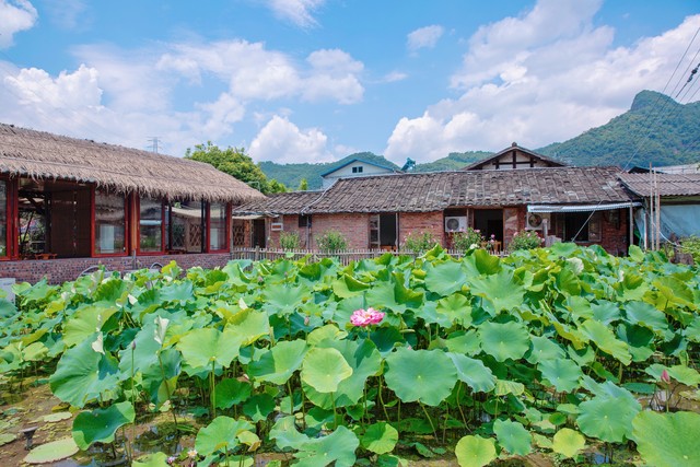 乡镇小生意赚钱项目 _未来五年乡镇做什么行业赚钱_ 农村电商代运营利润 