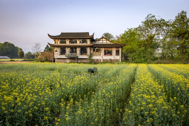  农村电商代运营利润 _未来五年乡镇做什么行业赚钱_乡镇小生意赚钱项目 