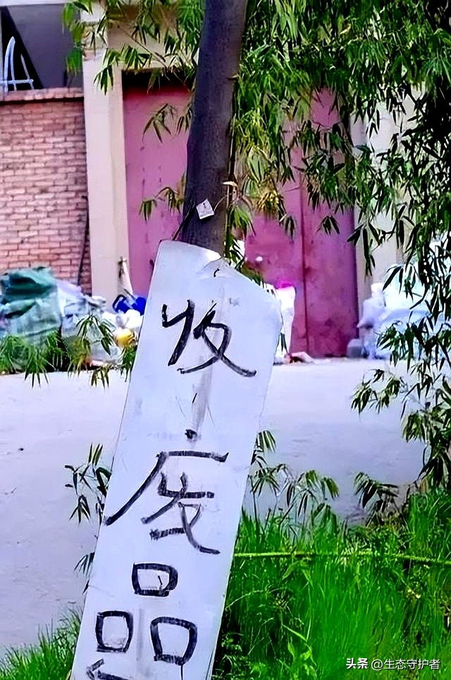 乡镇年入二十万_未来五年乡镇做什么行业赚钱_农资店利润薄如纸