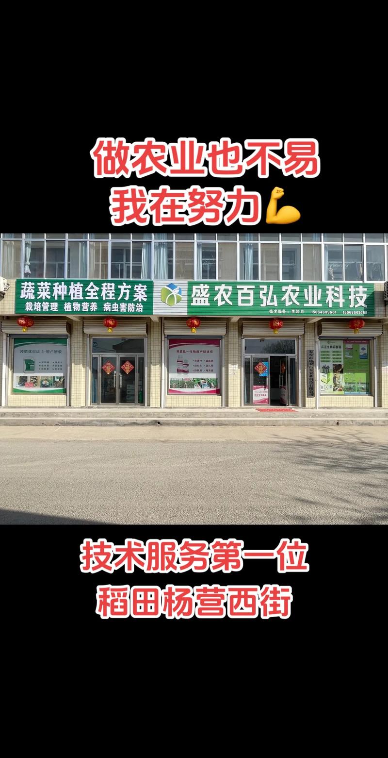 农资店利润薄如纸_未来五年乡镇做什么行业赚钱_乡镇年入二十万