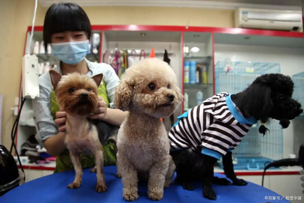 app拉新工作室创业_适合一个人做的小本生意_一两个人投资办小厂项目