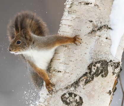 股票相关关键词_普通人炒股改命的5个关键词_普通人炒股不贪的技巧