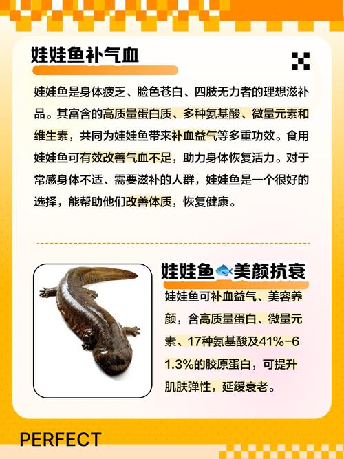 娃娃鱼现在市面上是多少钱一斤_娃娃鱼市场价格波动_娃娃鱼养殖利润