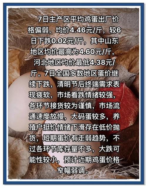 鸡蛋期货1609行情_鸡蛋价格回暖反弹_大连商品交易所鸡蛋期货
