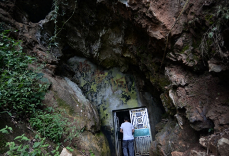 汉子在300米溶洞内养娃娃鱼,最大的40斤,售价让他很受伤