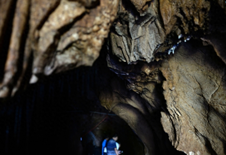 汉子在300米溶洞内养娃娃鱼,最大的40斤,售价让他很受伤