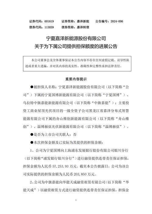嘉泽新能股价连续上涨_嘉泽新能之前是什么股_国联新机遇混合A重仓股