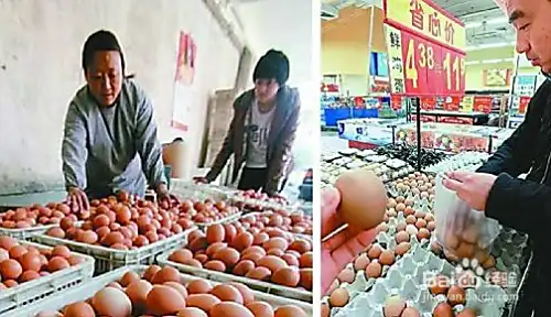 鸡蛋期货日内交易技巧