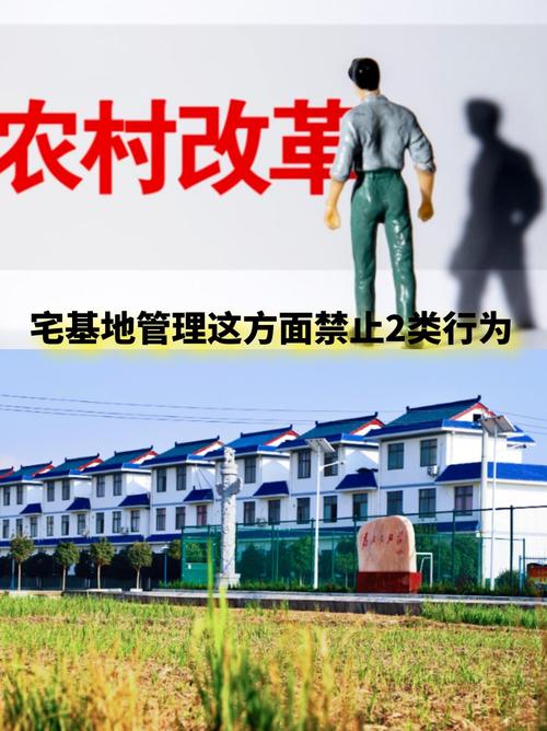 宅基地有偿退出政策_农村宅基地交易限制_农村宅基地是否可以卖