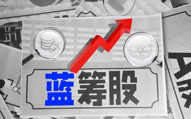 蓝筹股财务分析_京东方A半导体显示技术_中小型蓝筹股有哪些