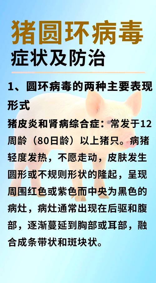中国养猪业近十年发展变迁_猪流行疾病回顾分析_十年来猪价走势
