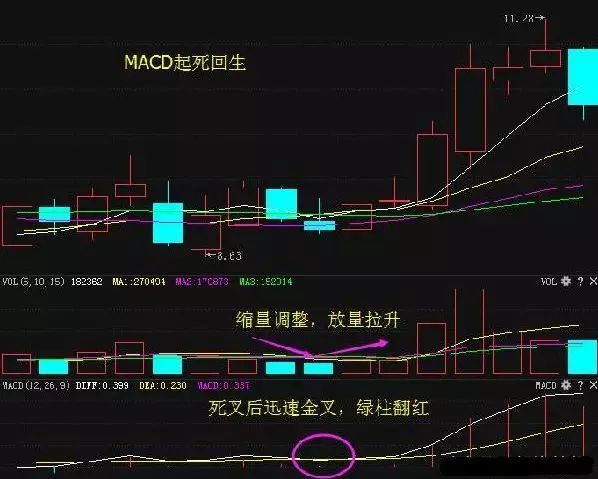 MACD技术指标应用_macd标准参数_MACD绝密战法详解