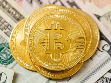 比特币海龟交易_期货海龟交易_欧意最新版本