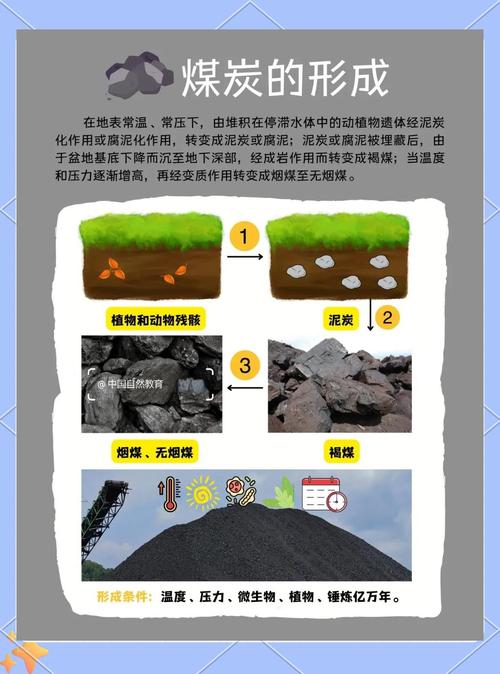 煤炭十年价格走势_中国煤炭分类标准_煤炭种类分类