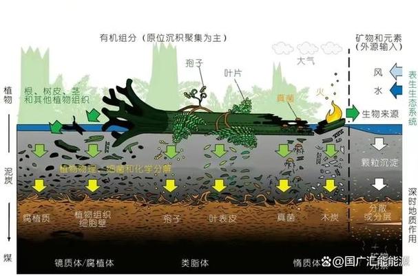 煤炭十年价格走势_煤炭种类分类_中国煤炭分类标准