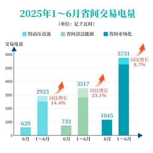 中国电网负债原因_中国电网资产规模_国家电网有限公司资产情况