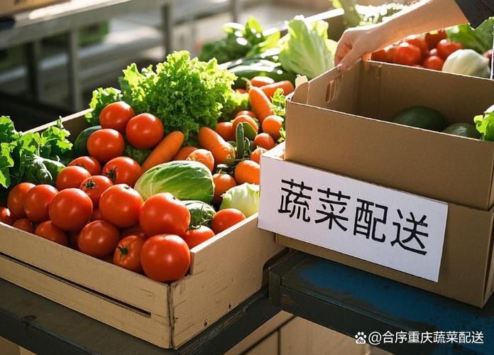 蔬菜配送行业前景分析_送菜上门业务难不难做_蔬菜配送市场潜力与挑战