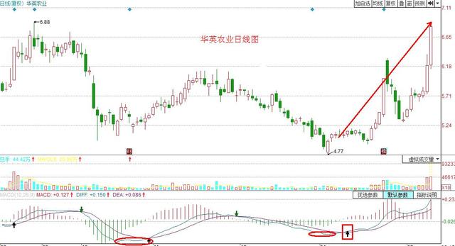 MACD指标使用方法_MACD指标金叉死叉详解_macd标准参数