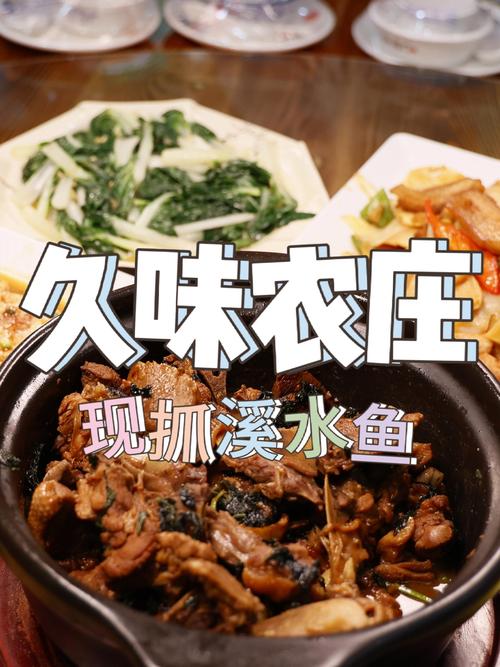 农家乐餐饮发展中存在的问题_农家乐发展规范_农家乐经营管理