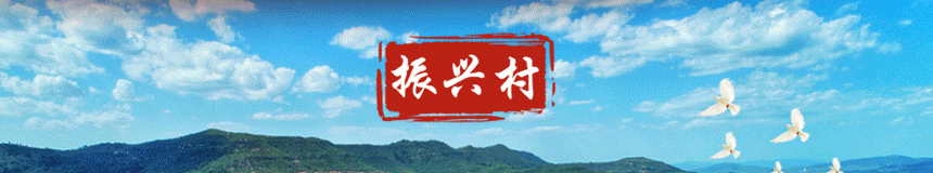 宁夏政府扶持项目有哪些_地方政府 发债 试点 宁夏_宁夏发行是什么意思