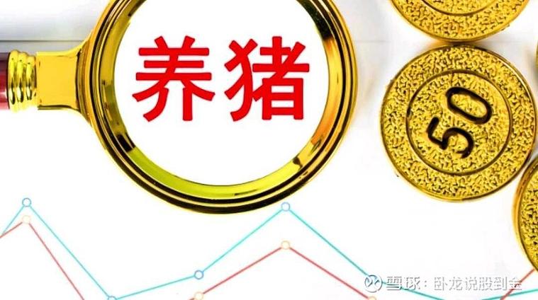 股票什么概念好_2023年净利润有望暴增的个股_猪肉概念股业绩预测