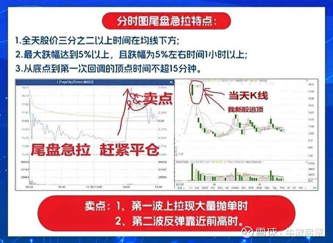 全球市场行情数据更新速度_分时图揭露主力意图_资讯时效性领先APP