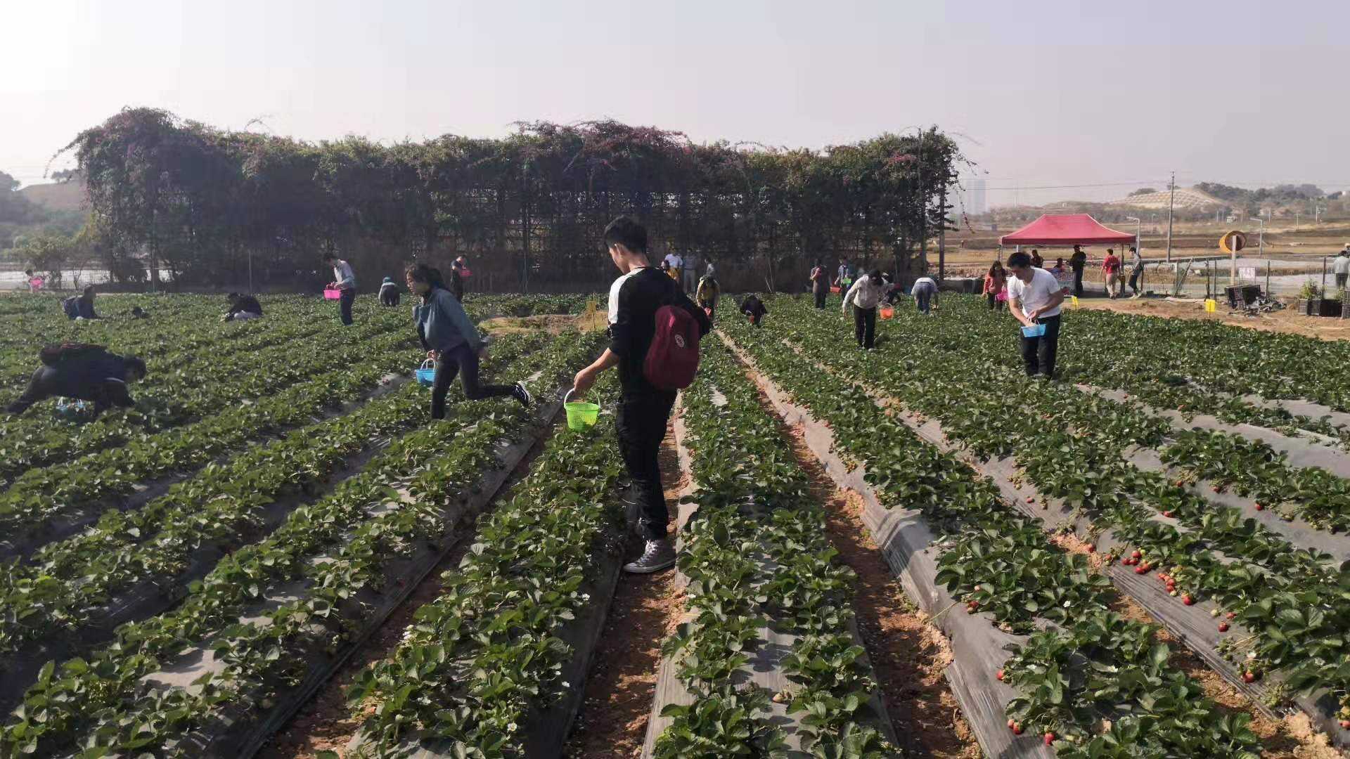 农家院经营问题_农家院生意下滑原因_农家乐餐饮发展中存在的问题